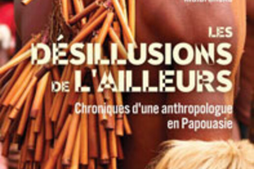 16886286970_desillusions-de-lAilleurs.jpg