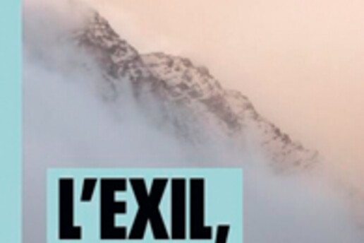 17079023420_D.FASSIN-EXIL.jpg