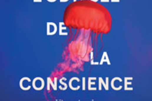 17242421760_OdysseeDeLaConscience_300.jpg