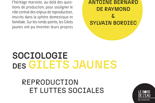 Sociologie des Gilets jaunes. Reproduction et luttes sociales, Antoine Bernard de Raymond et Sylvain Bordiec, Le bord de l’eau, 2024, 240 p., 19 €. - Sciences Humaines n°373