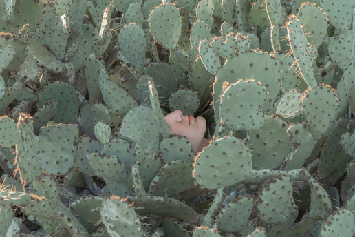 Schizophrénie : la grande inconnue - Les Grands Dossiers des sciences humaines n°76