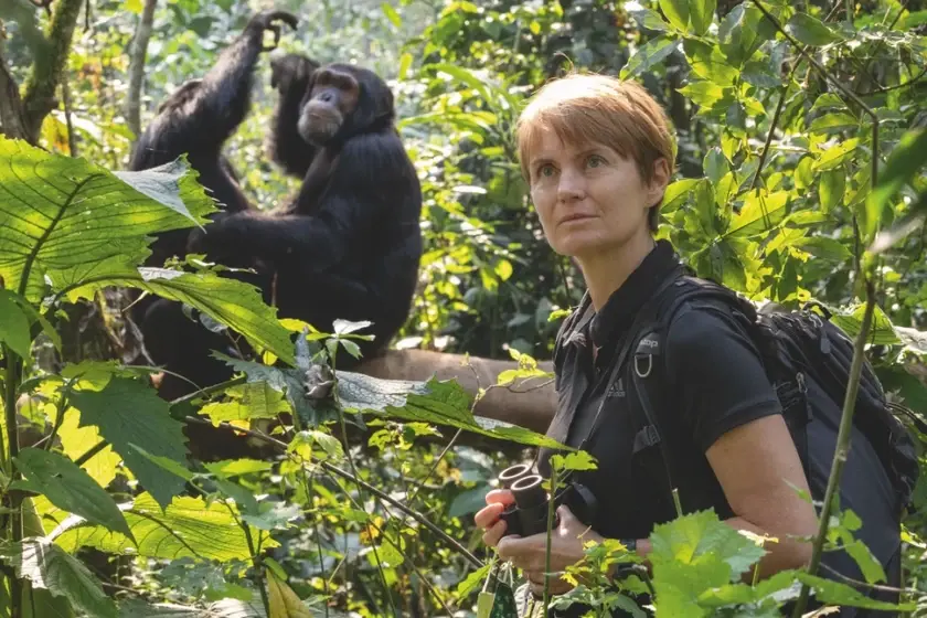 © Jean-Michel Krief