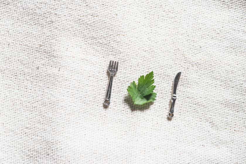 Anorexie mentale : la nourriture comme pire ennemie - Les Grands Dossiers des sciences humaines N°76