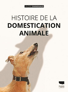 16133859740_domestication.jpg