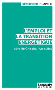 17108579850_emploitransitionchiroleu.300.jpg