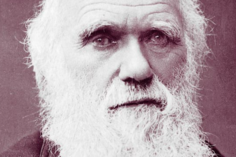 1587110784_DARWIN.png