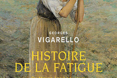 16050056360_Histoire-de-la-fatigue.jpg