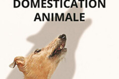 16133859740_domestication.jpg