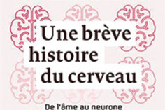 16393884030_une-breve-histoire-du-cerveau.jpg