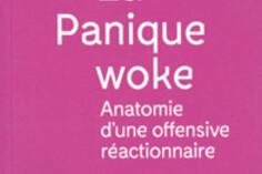 16614206160_La-panique-woke.jpg