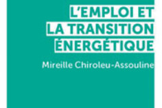 17108579850_emploitransitionchiroleu.300.jpg