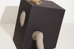 Chaque trouble mental est un récit - Les Grands Dossiers des sciences Humaines n°76