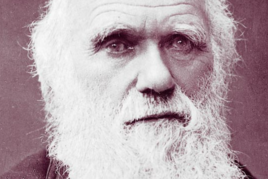 1587110784_DARWIN.png