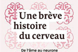 16393884030_une-breve-histoire-du-cerveau.jpg