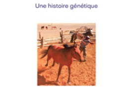16886286280_cheval.jpg