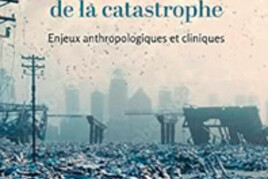 16970900350_Psychanalyse-de-la-catastrophe.jpg