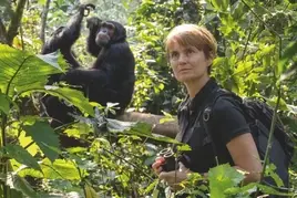 © Jean-Michel Krief