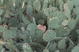 Schizophrénie : la grande inconnue - Les Grands Dossiers des sciences humaines n°76